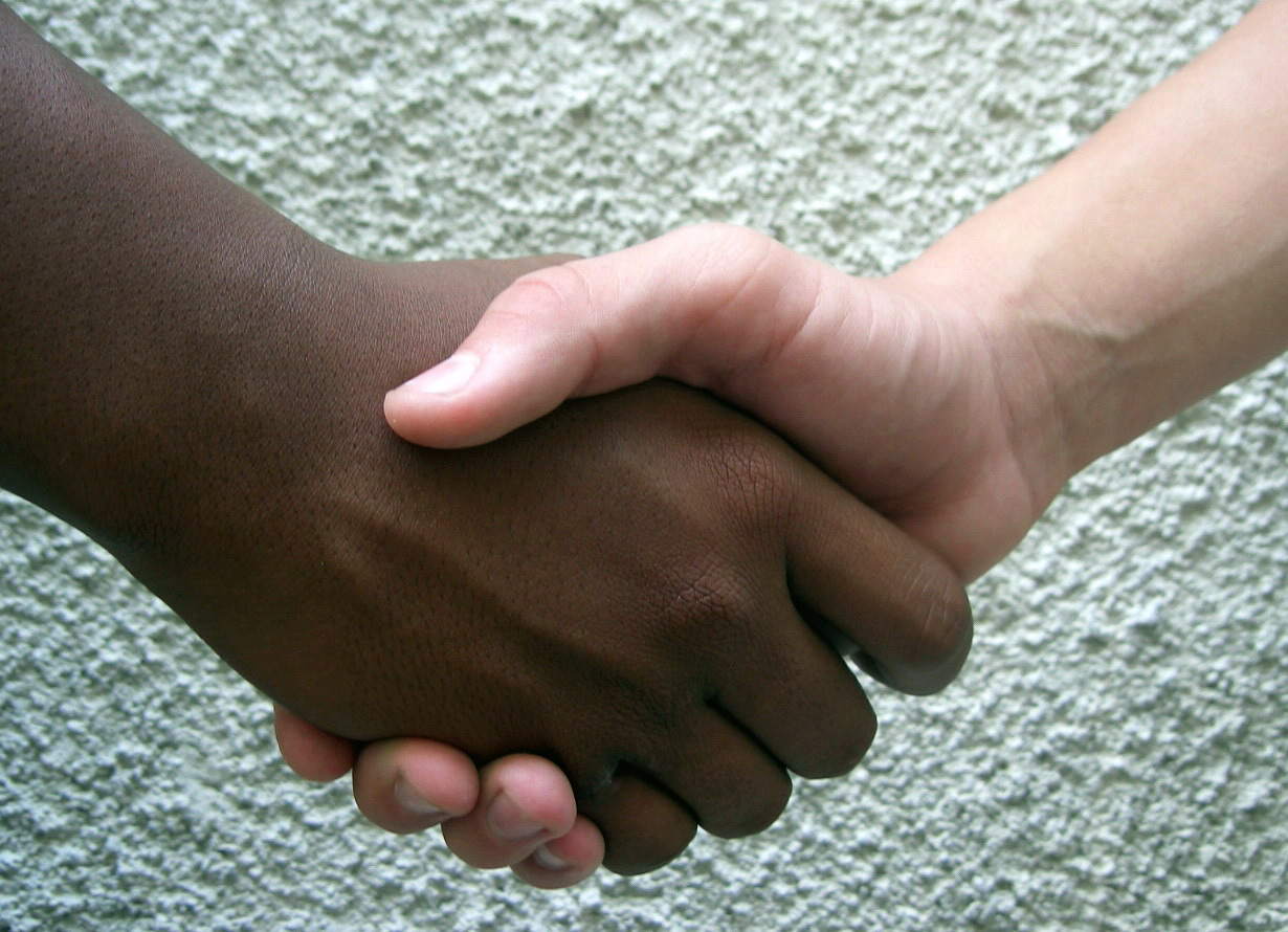 Immagine anteprima