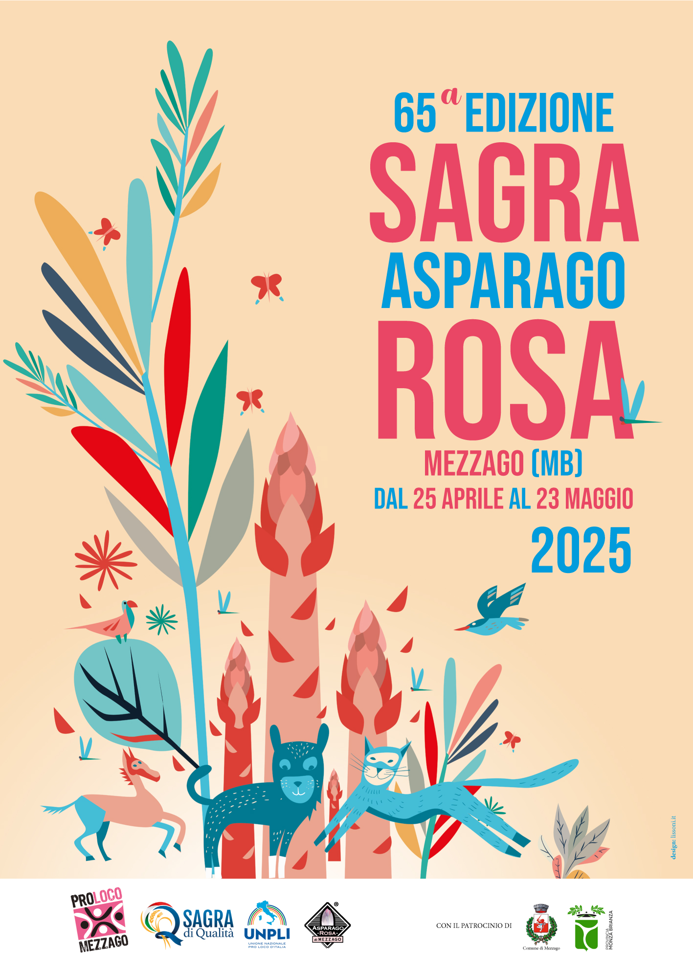 Immagine anteprima