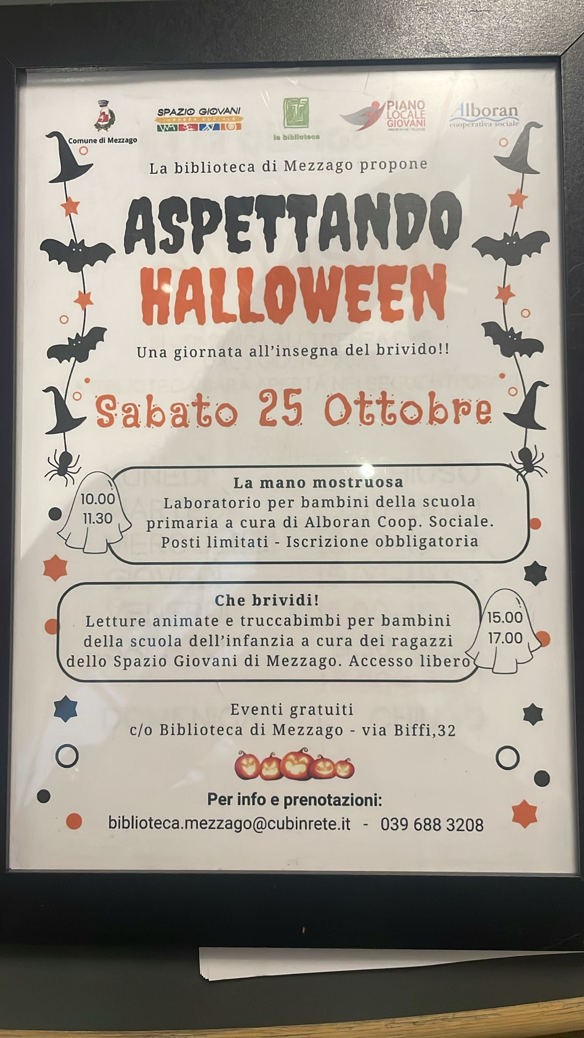 Immagine anteprima